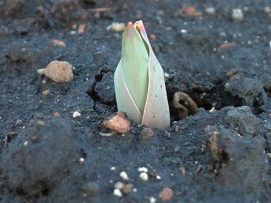 ファイル 121-1.jpg