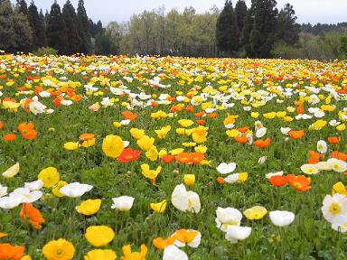 ファイル 134-1.jpg