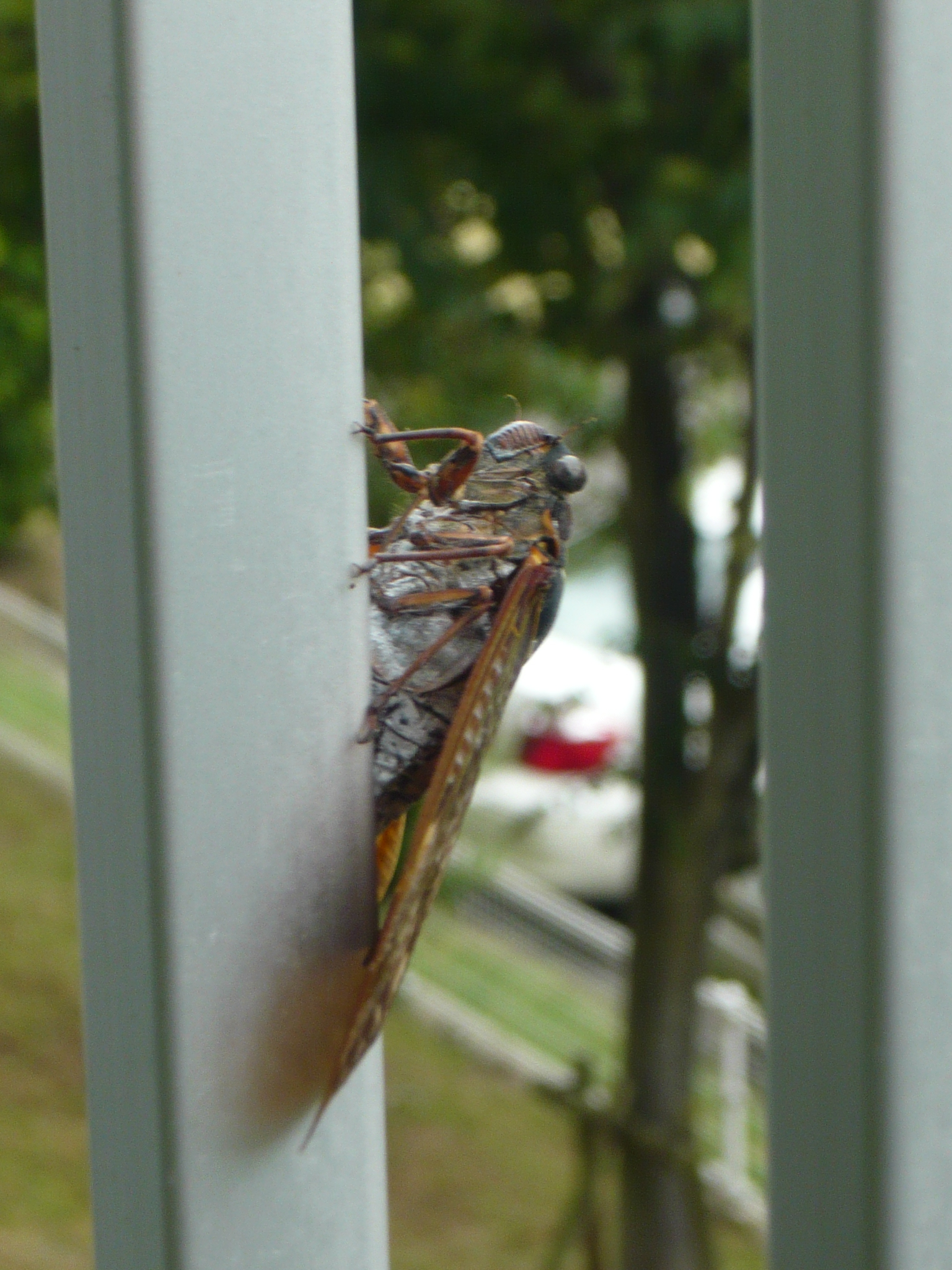 ファイル 153-1.jpg