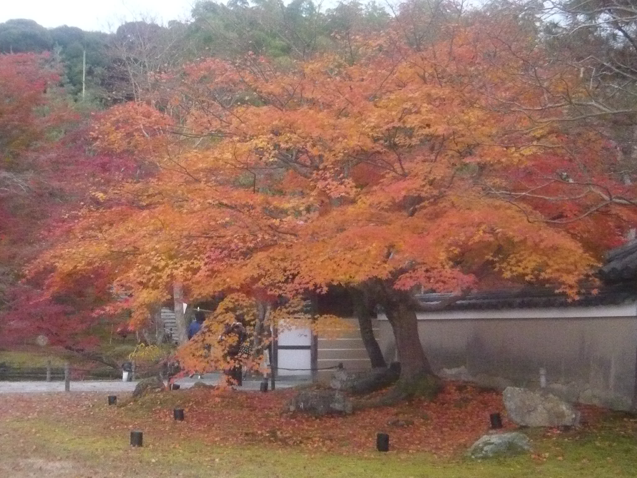 ファイル 158-1.jpg