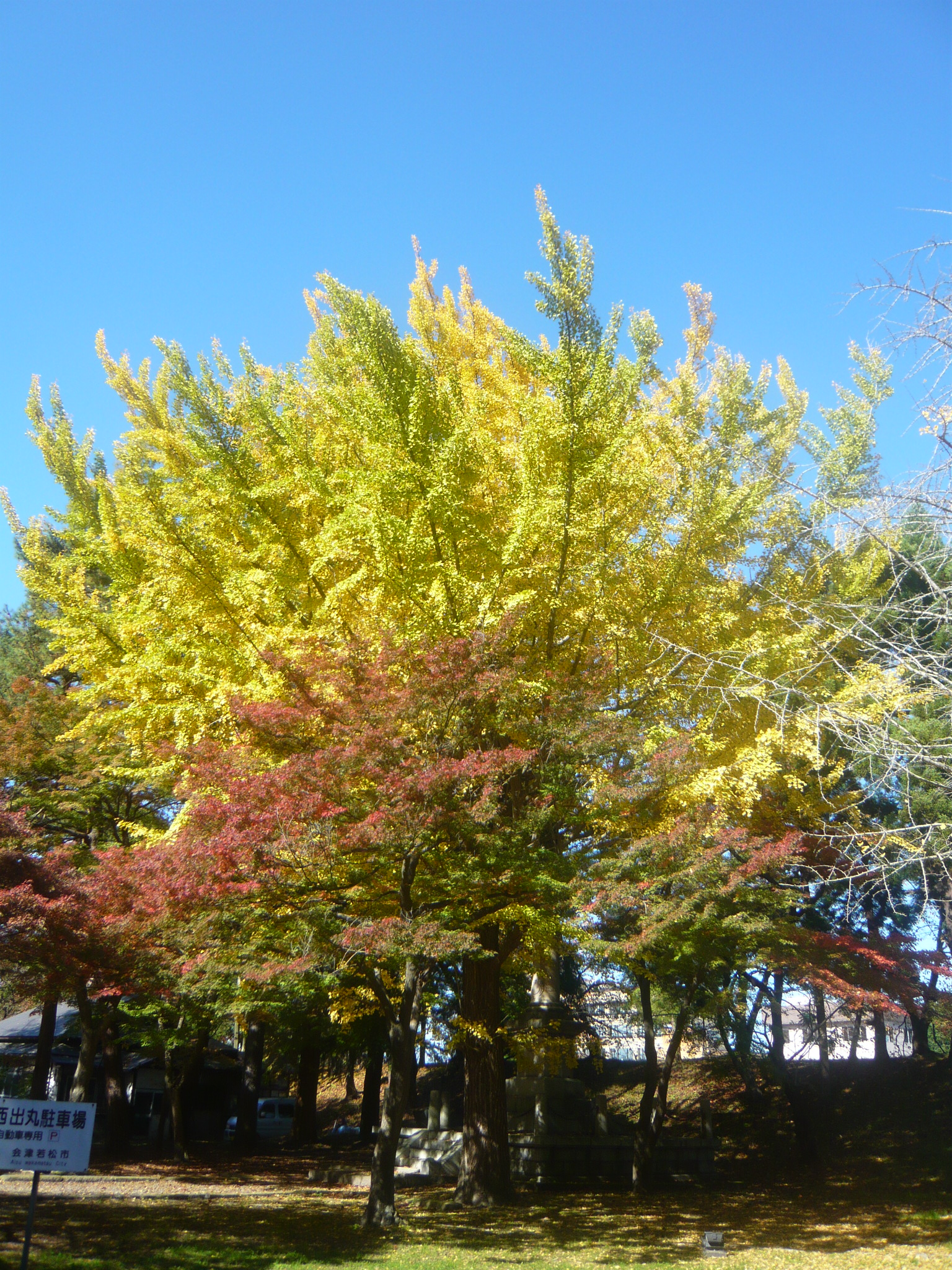 ファイル 158-2.jpg