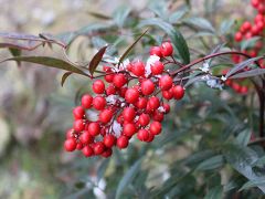 ファイル 164-1.jpg