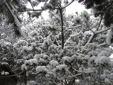 ファイル 165-1.jpg