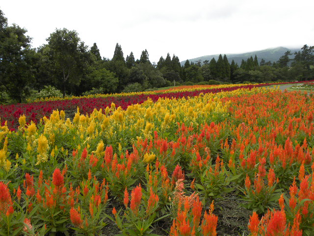 ファイル 208-1.jpg