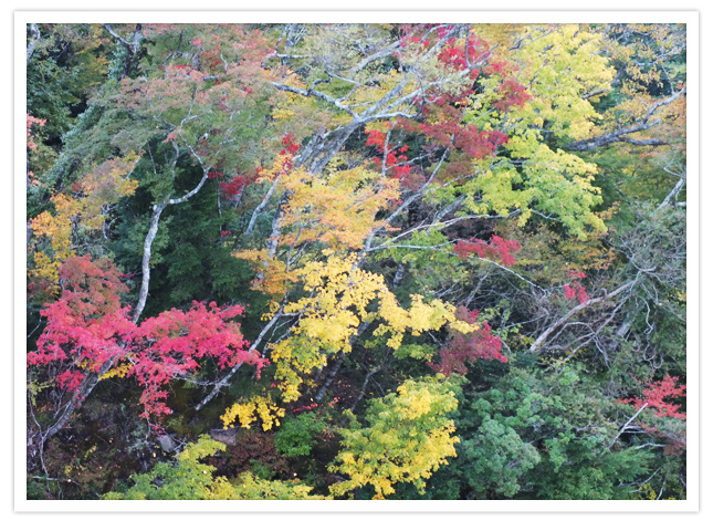 ファイル 214-2.jpg