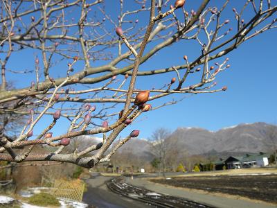 ファイル 230-2.jpg