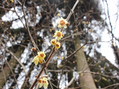 ファイル 240-1.jpg