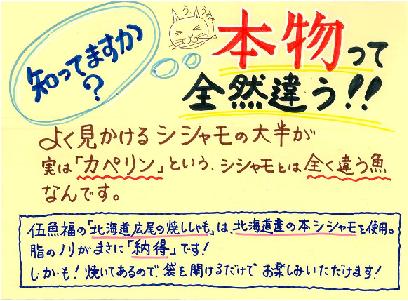 ファイル 241-1.jpg