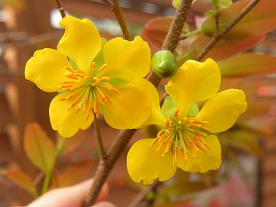 ファイル 254-1.jpg