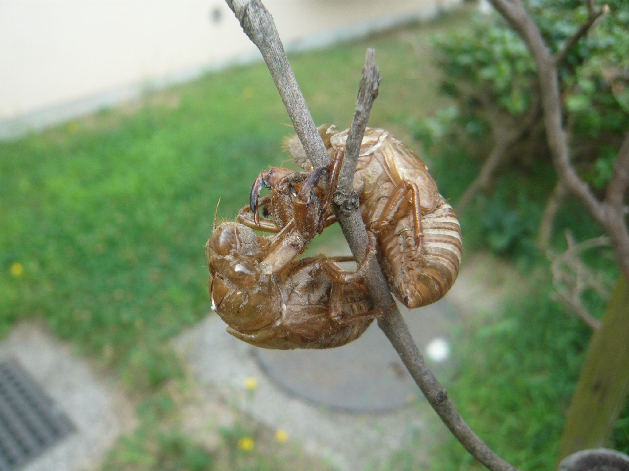 ファイル 261-1.jpg