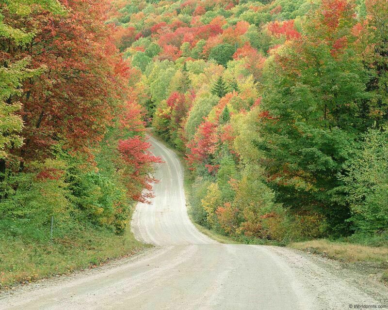 ファイル 265-1.jpg