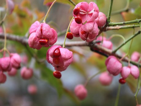 ファイル 277-1.jpg