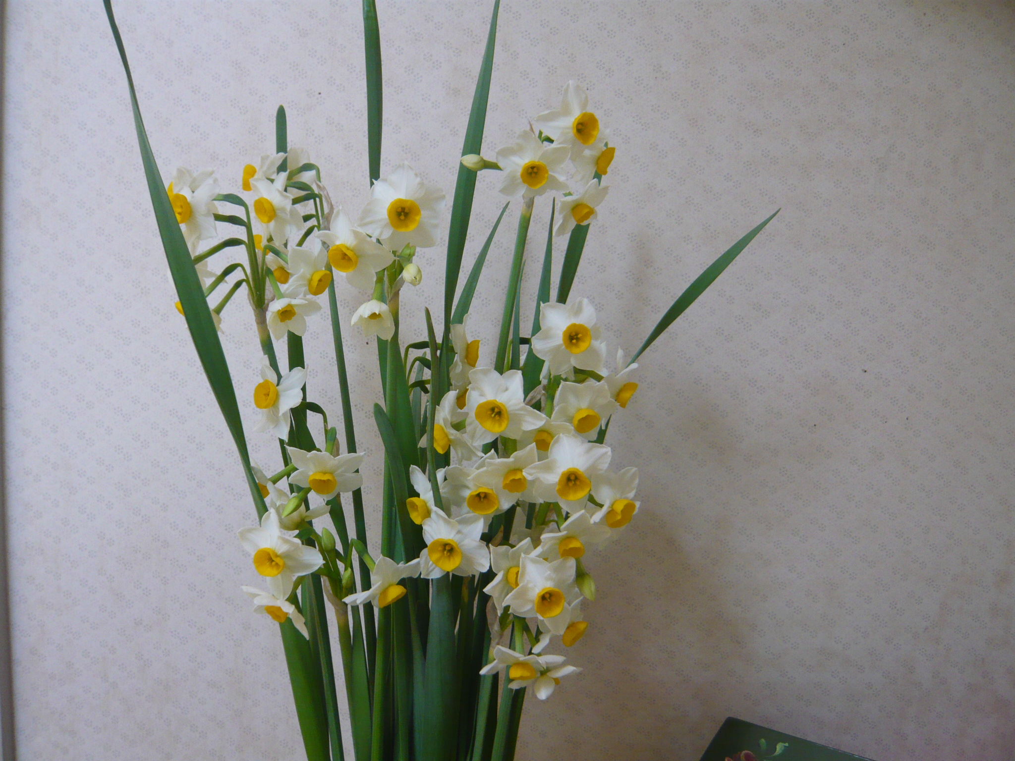 ファイル 281-1.jpg