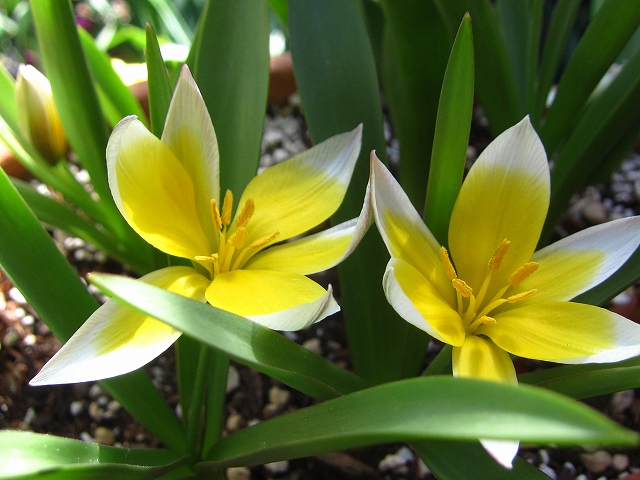 ファイル 292-1.jpg