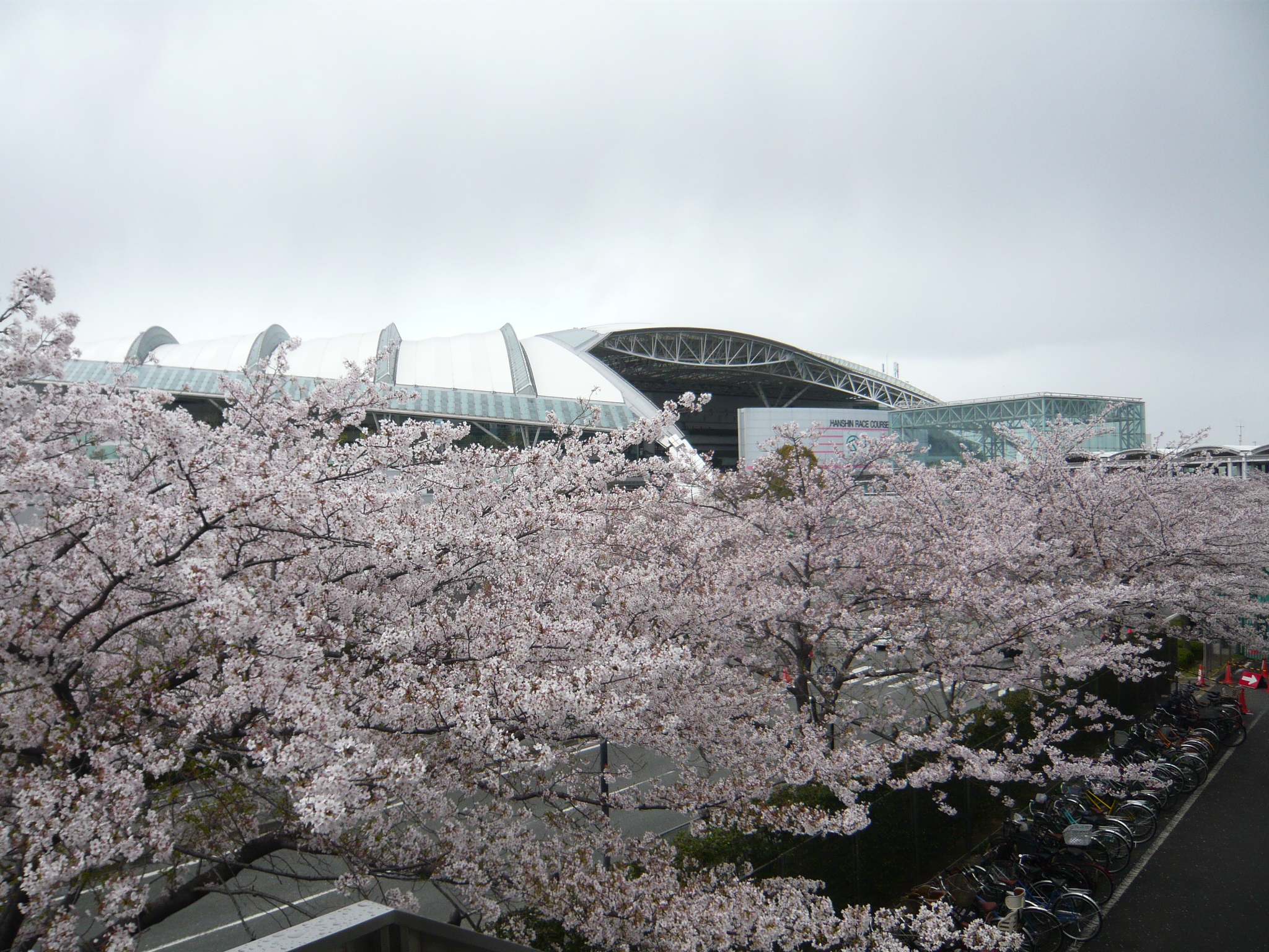 ファイル 293-1.jpg