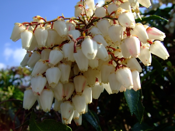 ファイル 296-1.jpg