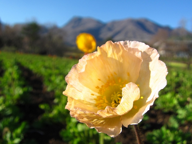 ファイル 297-1.jpg