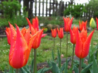 ファイル 299-1.jpg