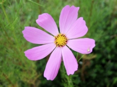 ファイル 324-1.jpg