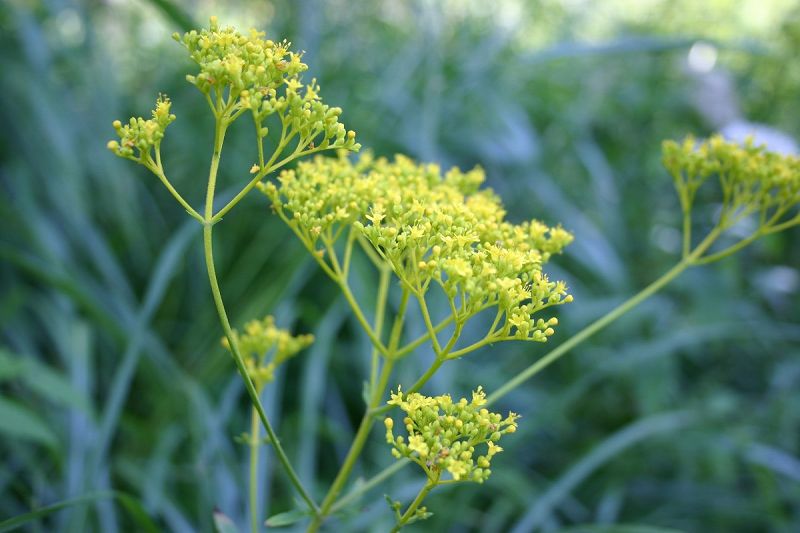 ファイル 328-1.jpg