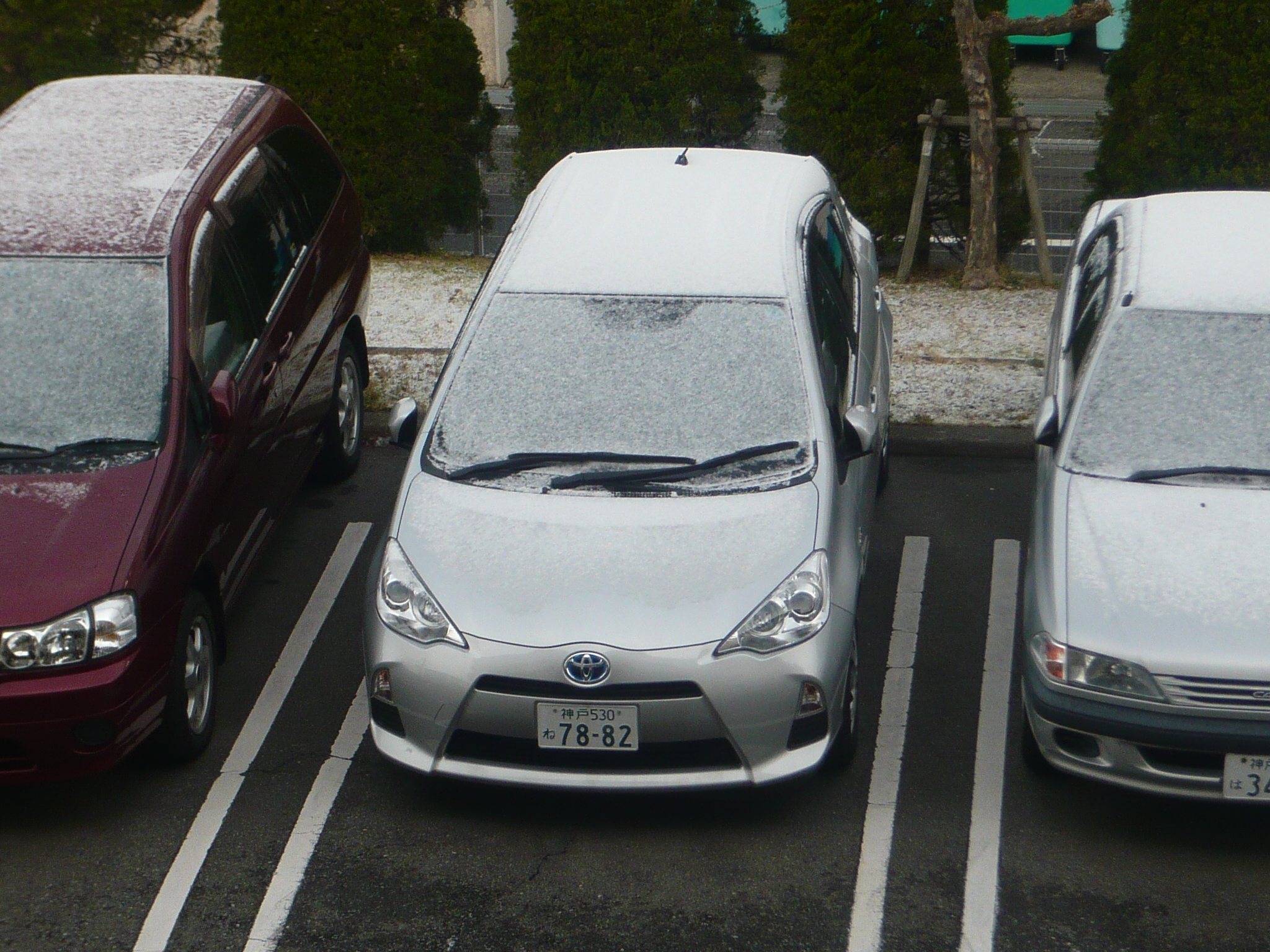 ファイル 341-1.jpg