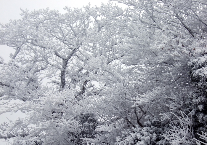 ファイル 345-1.jpg