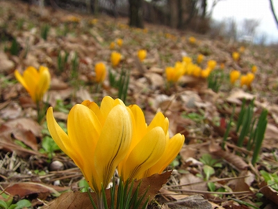 ファイル 350-1.jpg