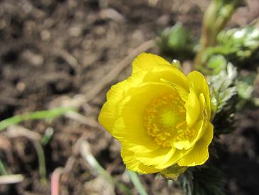 ファイル 352-1.jpg