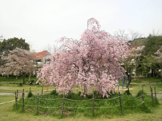 ファイル 355-1.jpg