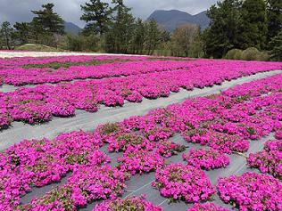 ファイル 358-1.jpg