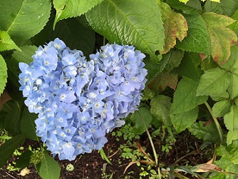 ファイル 360-1.jpg