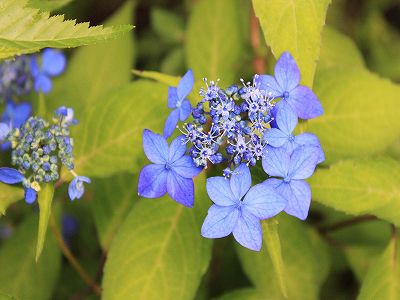 ファイル 362-1.jpg