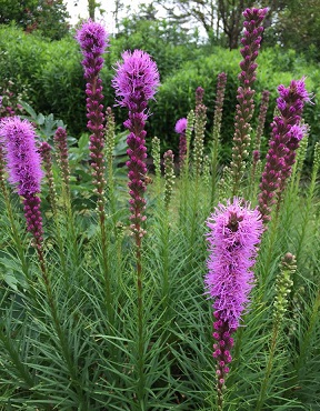 ファイル 363-1.jpg