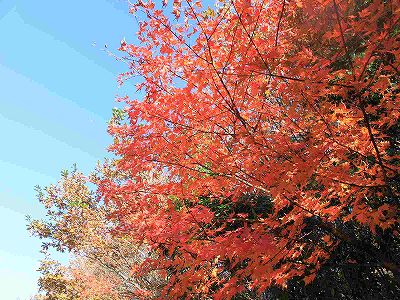 ファイル 364-1.jpg