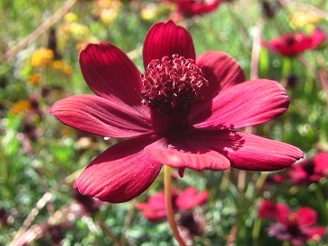 ファイル 368-1.jpg