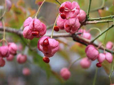 ファイル 369-1.jpg