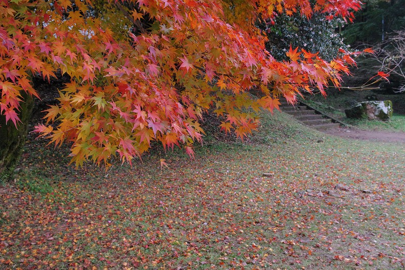 ファイル 371-1.jpg