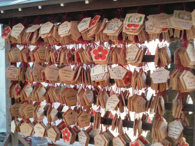 ファイル 376-1.jpg