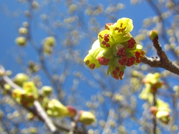 ファイル 378-1.jpg