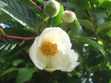 ファイル 382-1.jpg