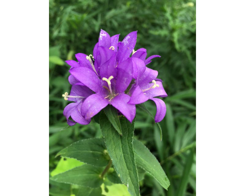 ファイル 384-1.jpg