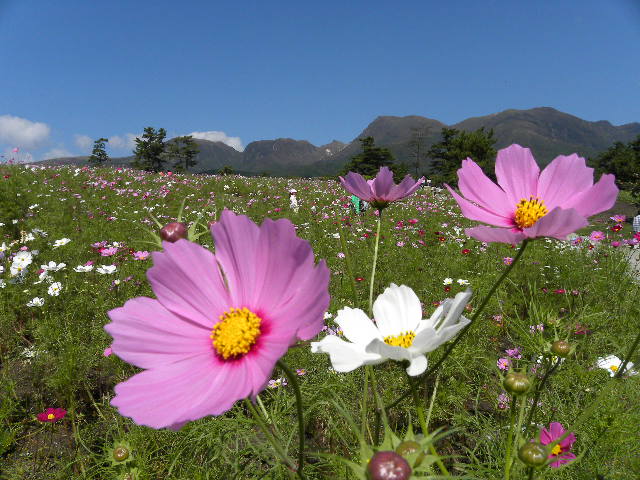 ファイル 388-1.jpg