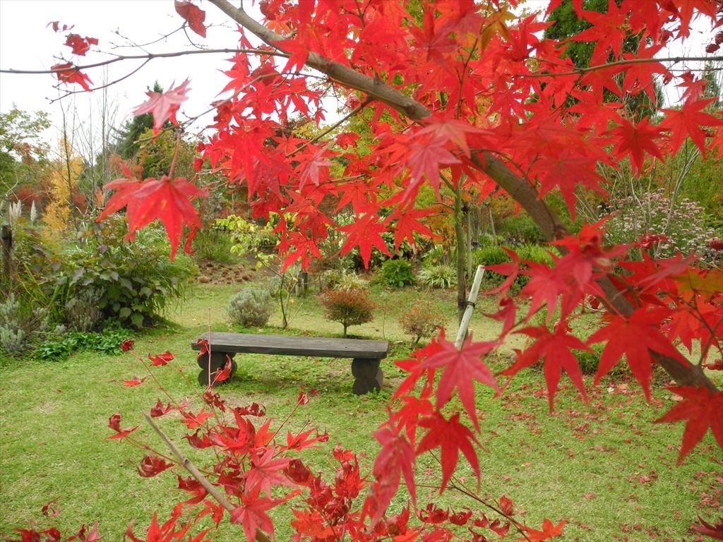 ファイル 391-1.jpg