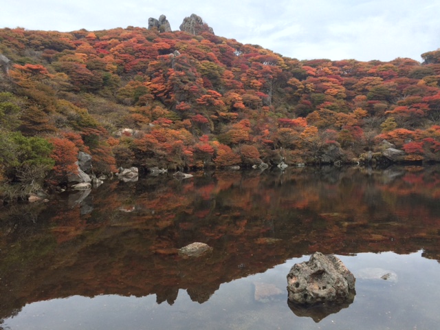 ファイル 392-1.jpg