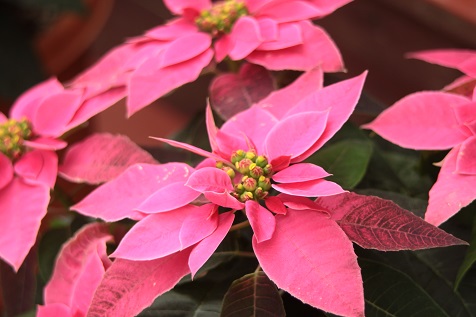 ファイル 398-1.jpg