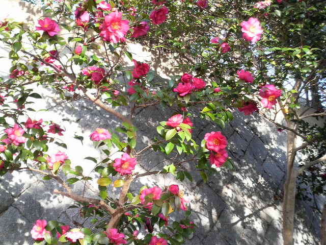 ファイル 400-1.jpg