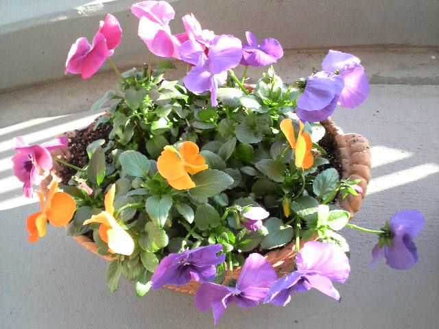 ファイル 401-1.jpg