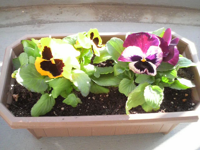 ファイル 402-1.jpg