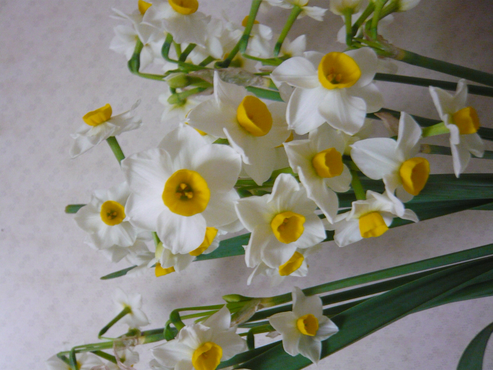 ファイル 403-1.jpg