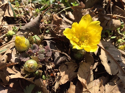 ファイル 414-1.jpg